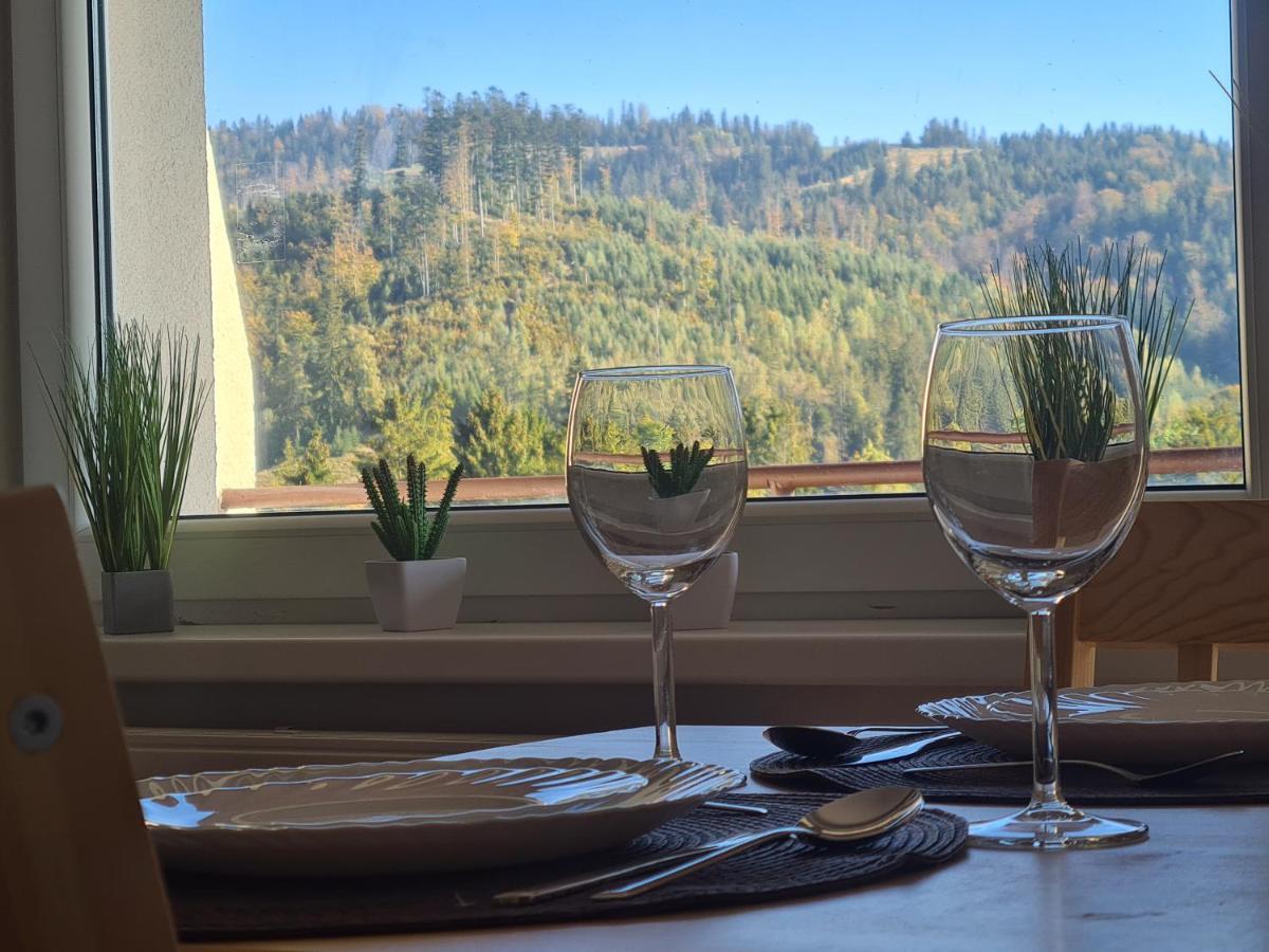 Apartamenty Willa NaSkarpie Wisła Esterno foto